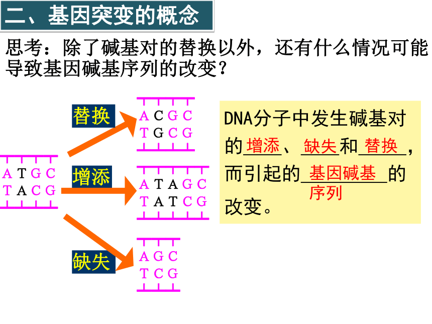 5.1基因突变和基因重组课件-(共48张PPT)人教版必修二