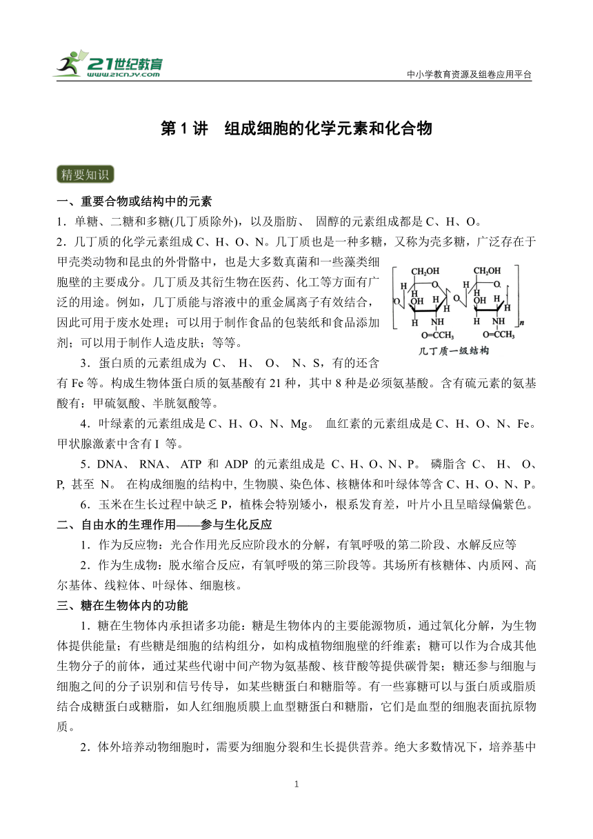 【备考2024】高中生物一轮复习学案 第1讲 组成细胞的化学元素和化合物（含解析）