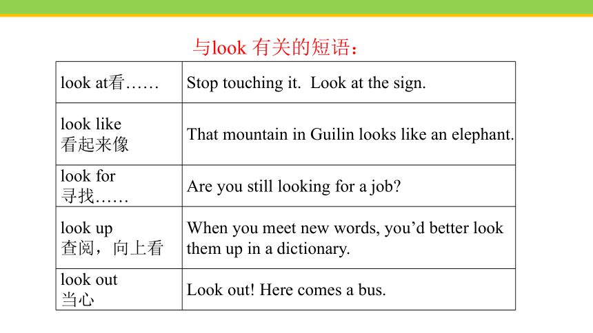 Unit 2 Lesson 12 Danny’s plant  课件(共22张PPT) 2023-2024学年冀教版英语八年级下册