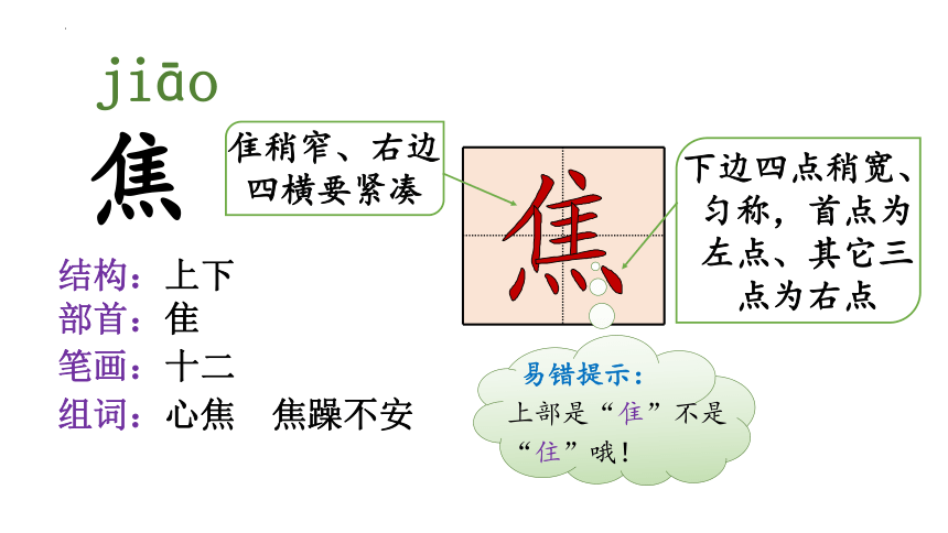 9《猎人海力布》课件(共28张PPT)