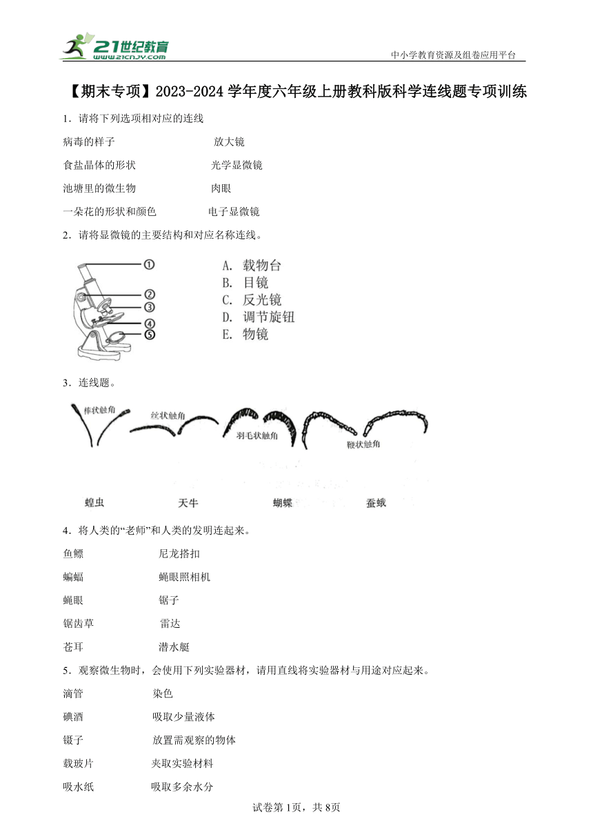 【期末专项】2023-2024学年度六年级上册教科版科学连线题专项训练（含答案）