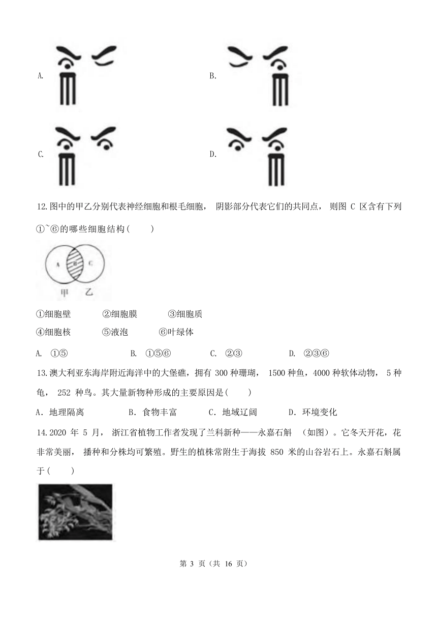 第2章 观察生物 单元测试卷（含解析）