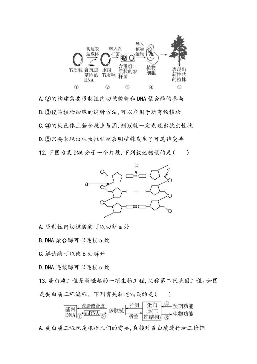 第3章《基因工程》章节小测2023~2024学年高中生物人教版（2019）选择性必修3（含答案）