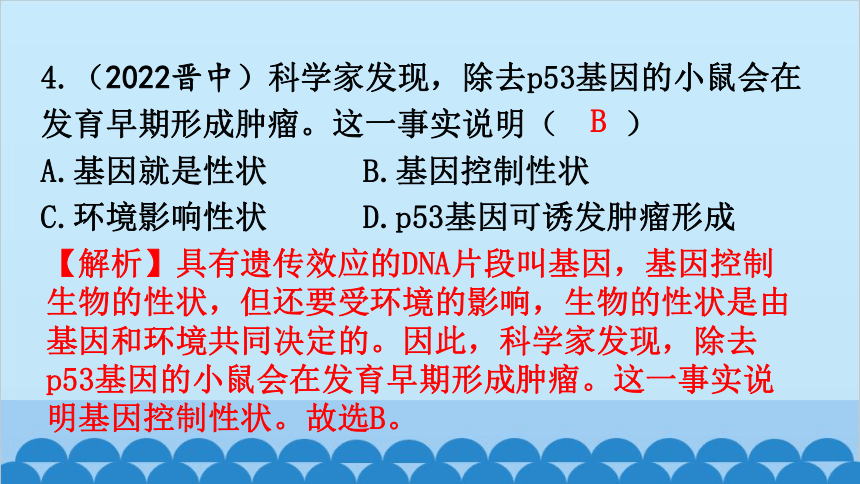 6.20生物的遗传和变异 章 末 总 结课件(共27张PPT)北师大版生物八年级上册