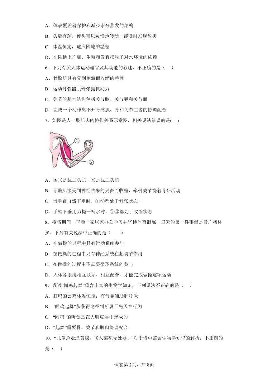 云南省保山市腾冲市2023-2024学年八年级上学期期末复习测生物试题（二）（含解析）