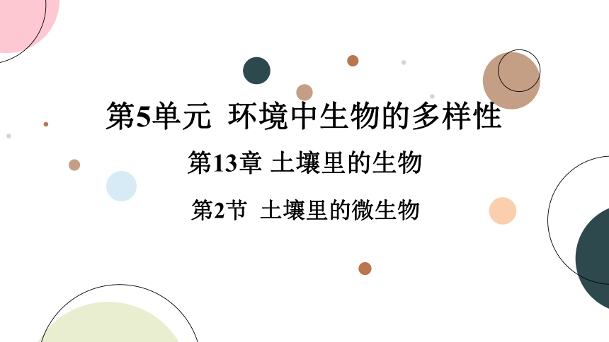 5.13.2土壤里的微生物课件（共24张PPT）2022--2023学年苏科版生物七年级下册