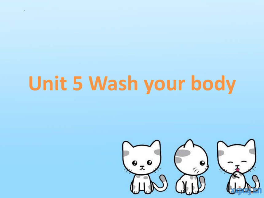 Module 3 Body Unit 5 Wash your face  课件（共36张PPT）