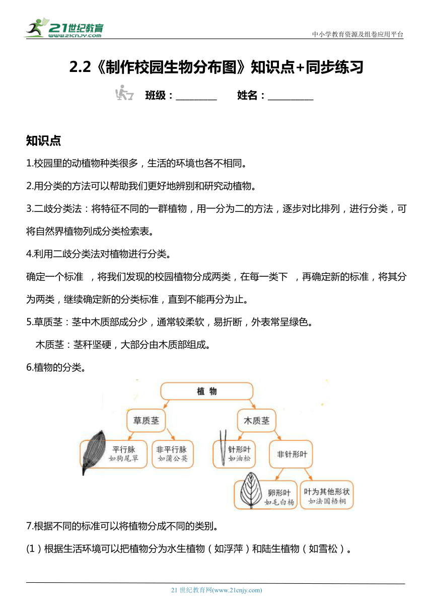 2.2《制作校园生物分布图》知识点+同步练习（含答案）