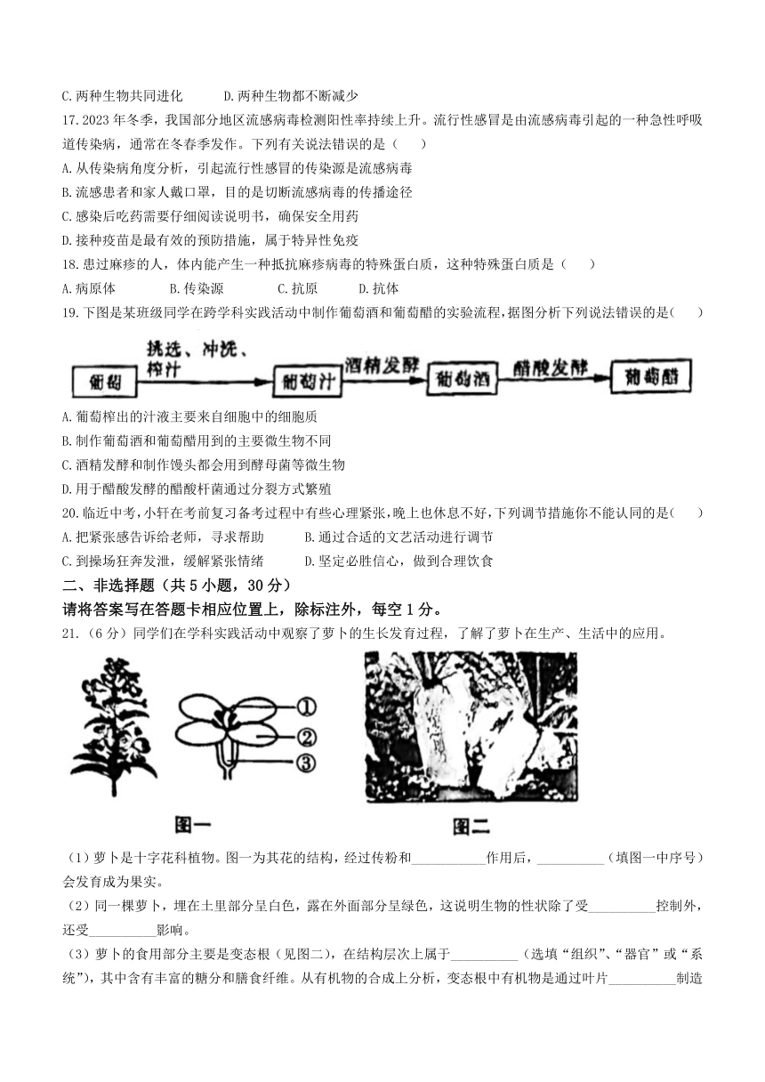 2024年河南省南阳市方城县第一次中招模拟联考模拟预测生物试题 （word版 含答案）