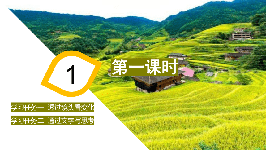 第四单元 家乡文化生活   我们的家园——当代文化参与高一语文上学期教学课件(共61张PPT)（统编版必修上册）