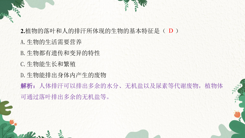 期末过关检测卷习题课件(共41张PPT)人教版生物七年级上册