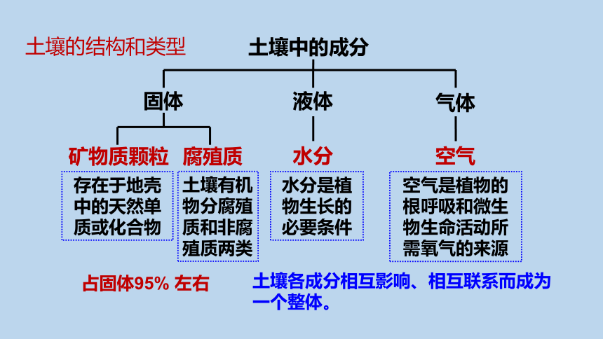 4.2 各种各样的土壤（课件 28张ppt）