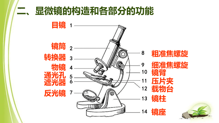 2.1.1练习使用显微镜课件（共48张PPT） 人教版生物七年级上册