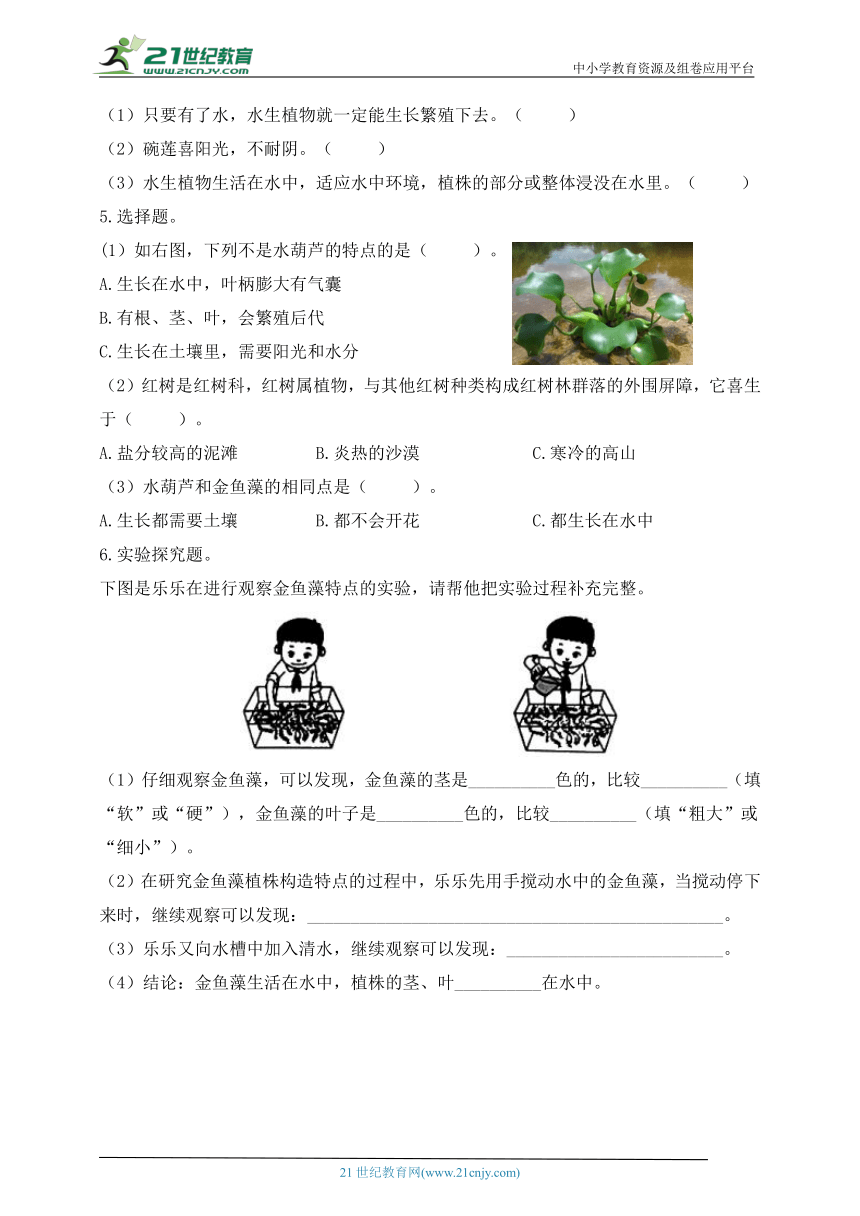 三年级科学下册（苏教版）【分层作业】2.7 水里的植物（含答案）