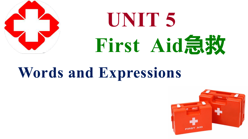人教版（2019）  选择性必修第二册  Unit 5 First Aid Words and Expressions课件(共22张PPT)