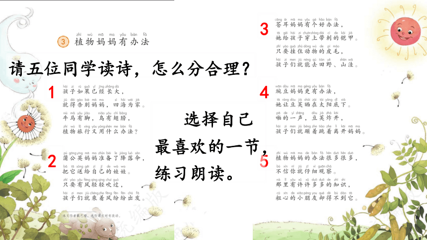 3 植物妈妈有办法 课件(共30张PPT)