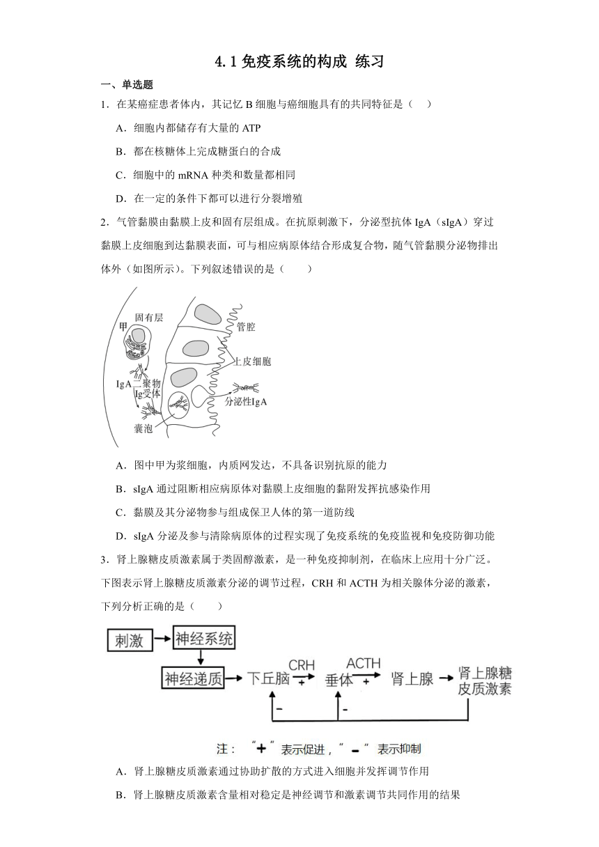 4.1免疫系统的构成 练习（解析版）