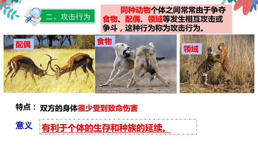 5.16.2动物行为的主要类型课件(共46张PPT) 北师大版生物八年级上册