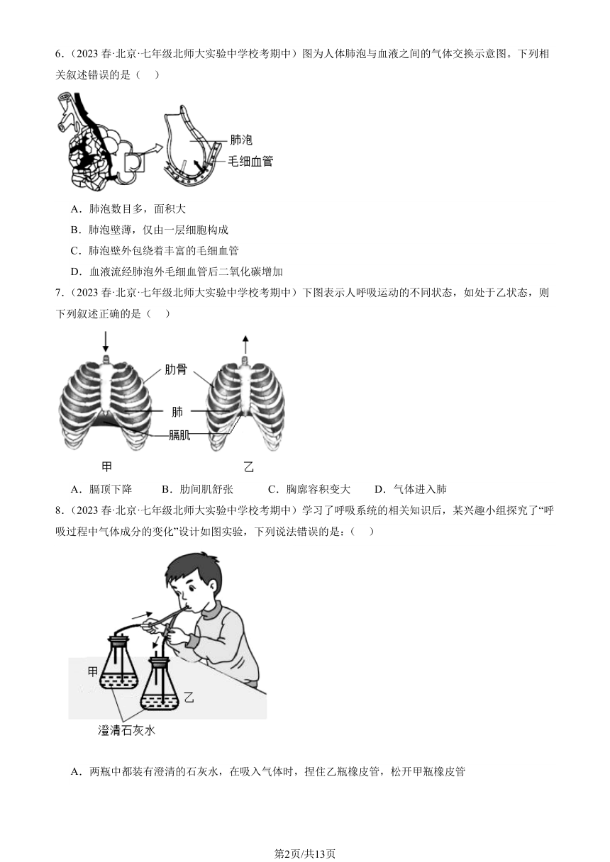 2023北京重点校初一（下）期中生物汇编：发生在肺内的气体交换习题（PDF版含解析）