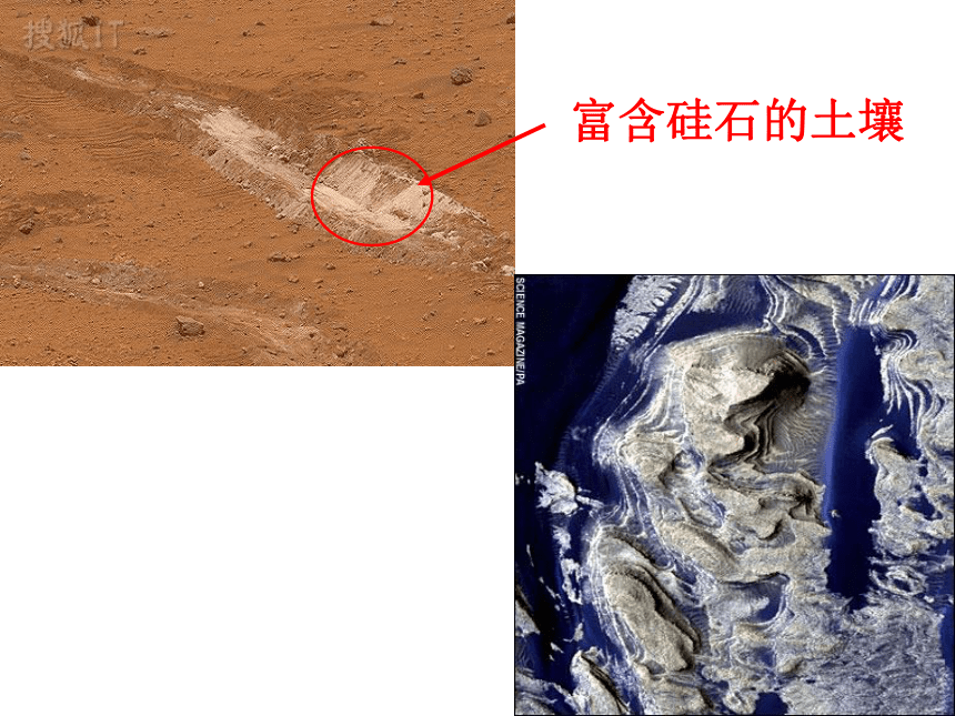 2.2 细胞中的无机物(课件共38张PPT)