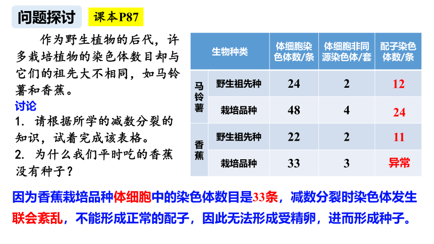 5.2染色体变异课件(共58张PPT) 2022-2023学年高一下学期生物人教版（2019）必修2
