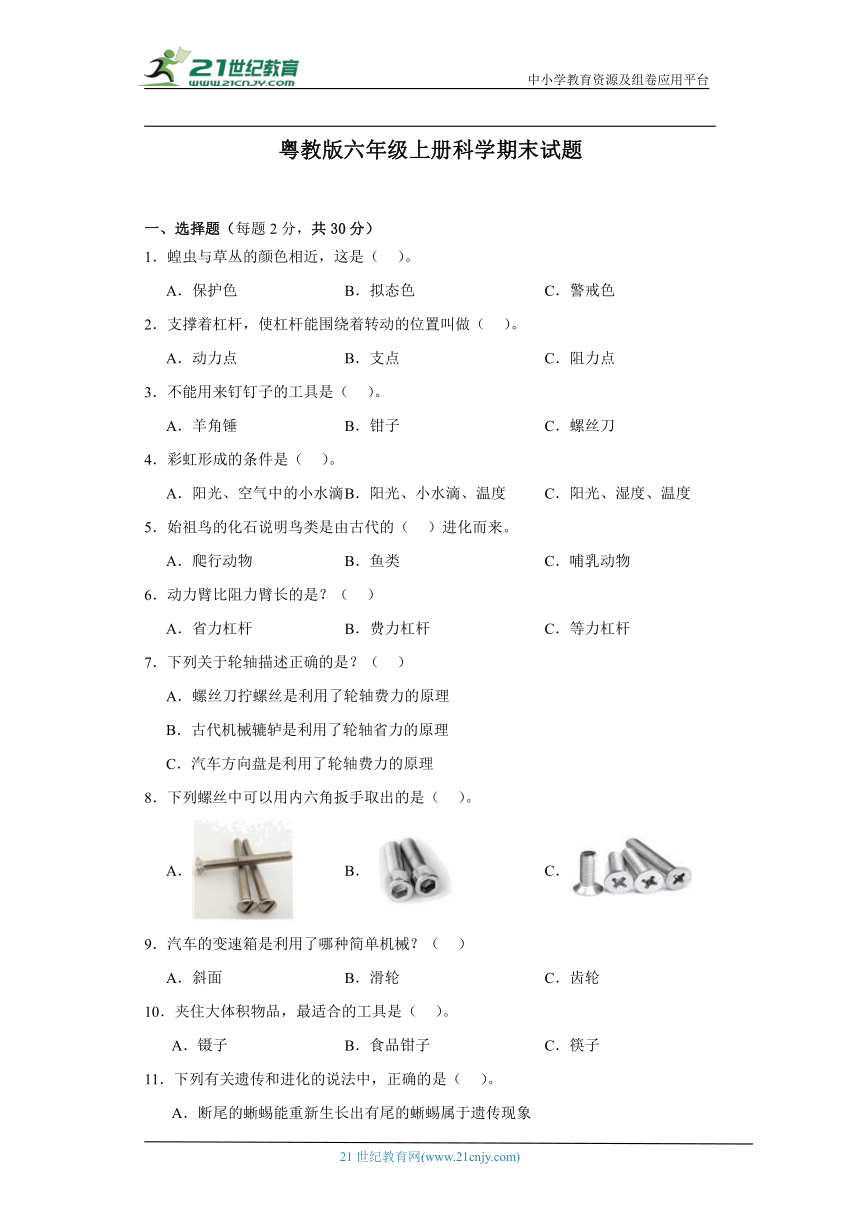 粤教版六年级上册科学期末试题（含答案）