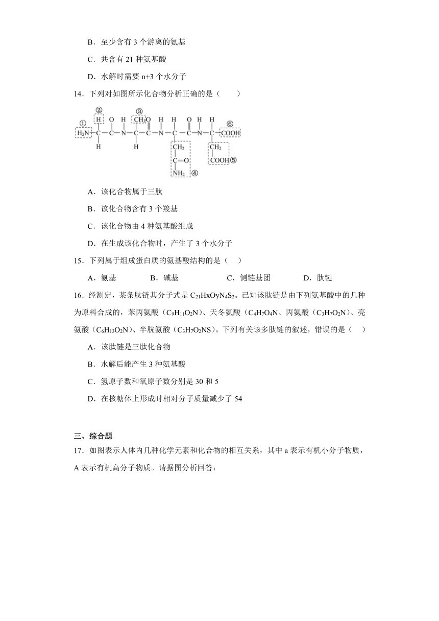 1.3细胞中的蛋白质和核酸 测试题（有解析）-2023-2024学年高中生物学苏教版（2019）必修第一册