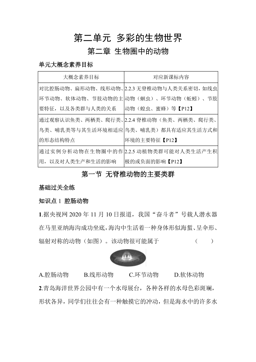 2.2.1　无脊椎动物的主要类群素养提升练（含解析）山东省济南市济南版生物七年级上册