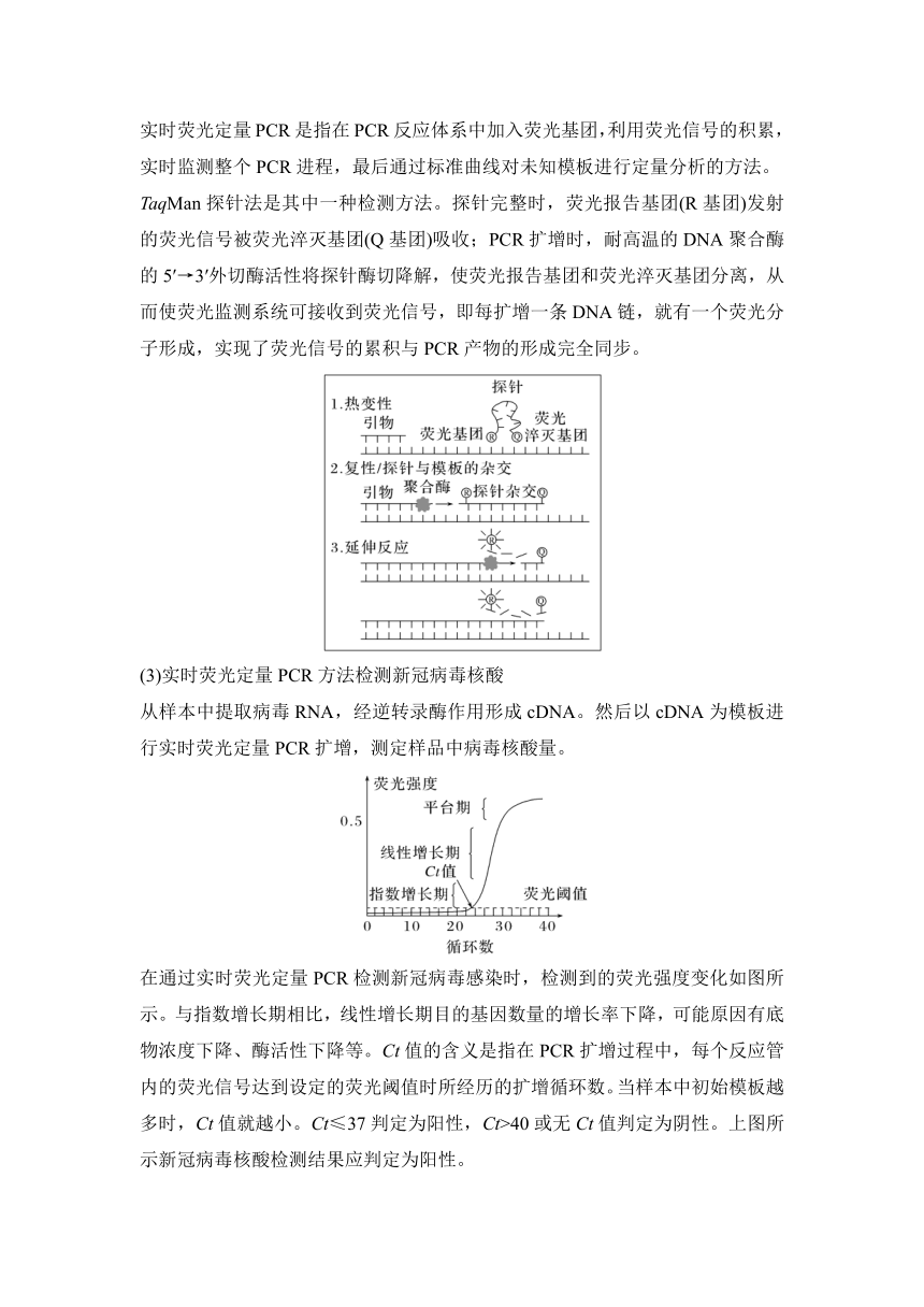 新人教生物一轮复习微专题学案：10 PCR技术与电泳相关问题(含答案）