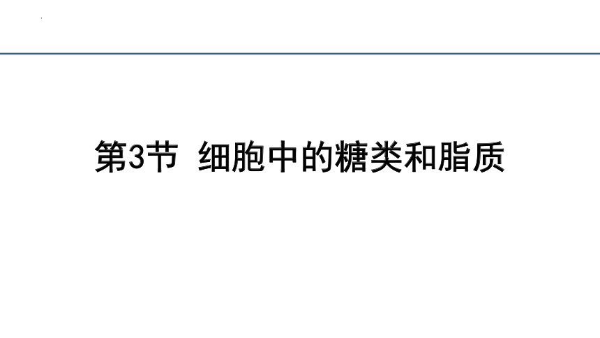 2.3细胞中的糖类和脂质课件(共28张PPT）2023-2024学年高一上学期生物人教版必修1