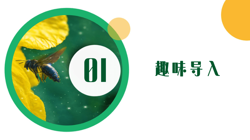 1《草原》课件(共21张PPT)