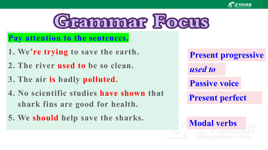 【新课标】Unit 13 SectionA(Grammar Focus-4c)课件（新目标九年级Unit13We’re trying to save the earth)