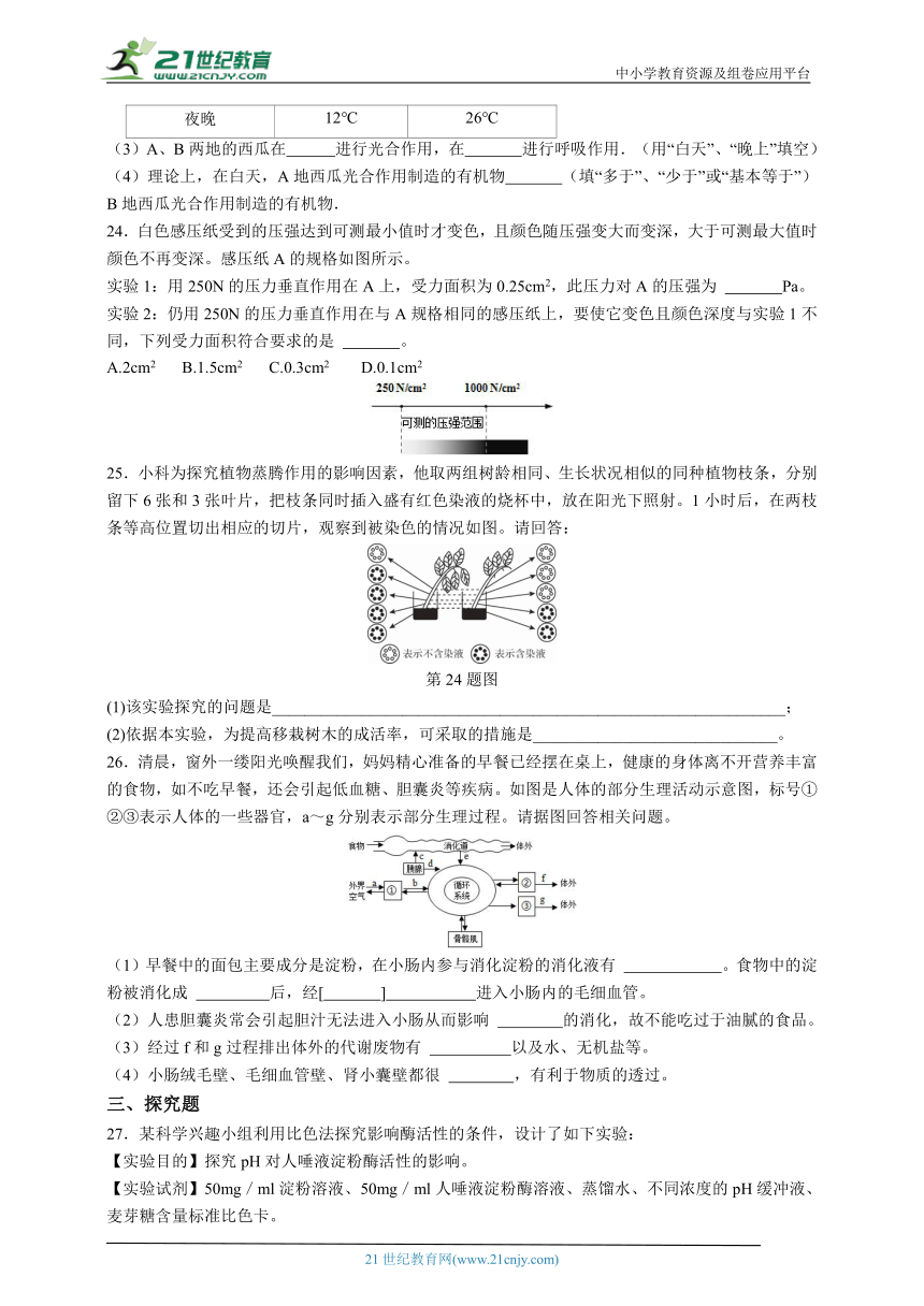 2023-2024年华师大版八上科学期末冲刺之期末模拟（七）（含答案）