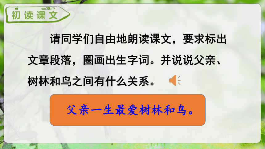 23.《父亲、树林和鸟》第一课时课件（共37张PPT）