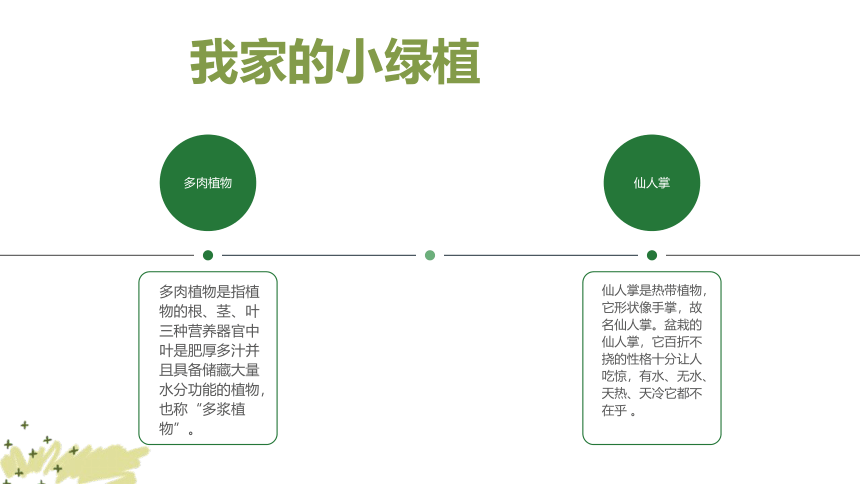 美术社团课程《小植物盆栽》小学延时服务 课件 (21张PPT)