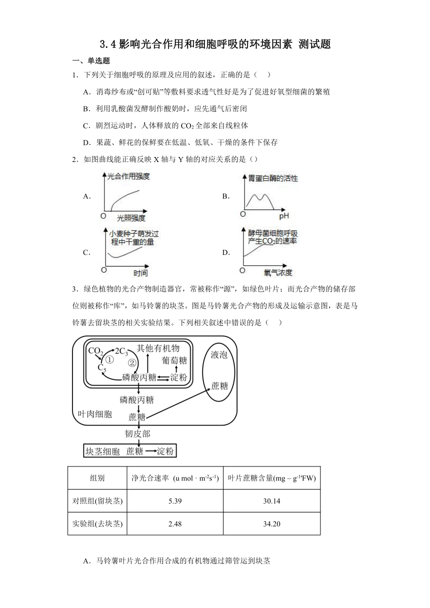 3.4影响光合作用和细胞呼吸的环境因素 测试题（有解析）-2023-2024学年高中生物学苏教版（2019）必修第一册