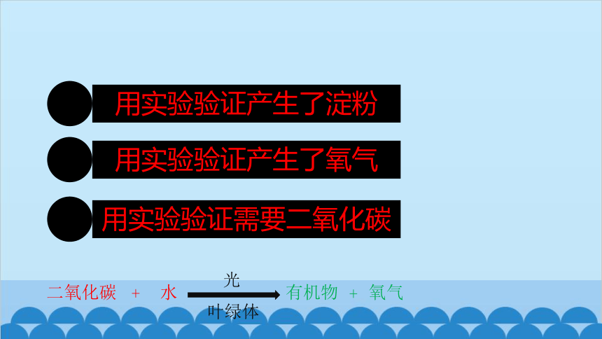 3.6.3  植物光合作用的实质课件 (共18张PPT) 苏教版生物七年级上册