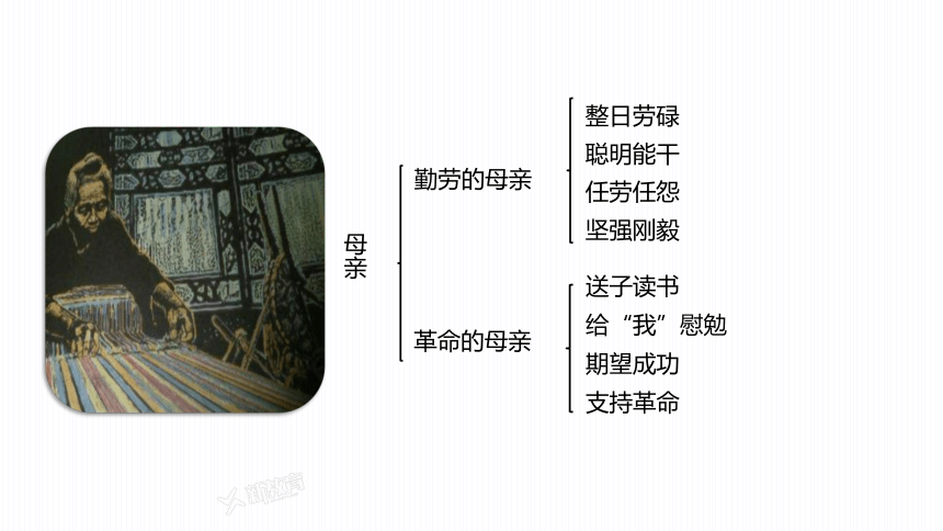 2023-2024学年初中语文部编版八年级上册第7课 《回忆我的母亲》 第2课时 课件(共27张PPT)