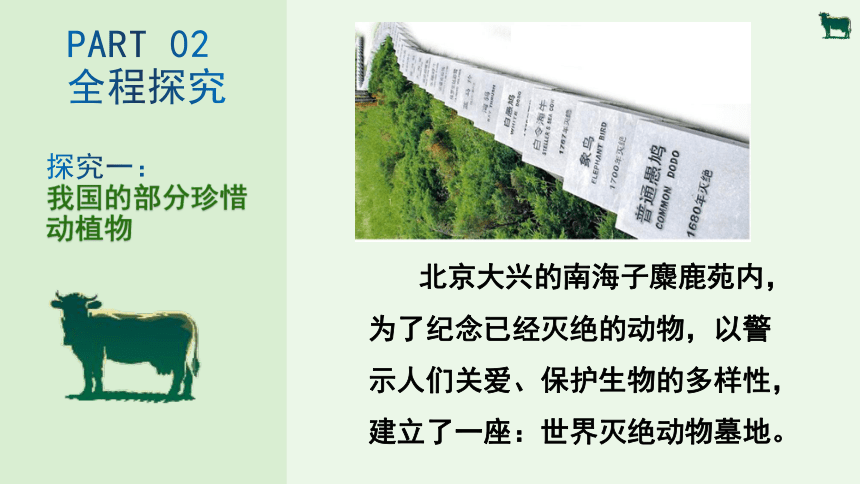 6.3 保护生物的多样性-【备课精选】2023-2024学年八年级生物上册同步教学精品课件(共22张PPT)