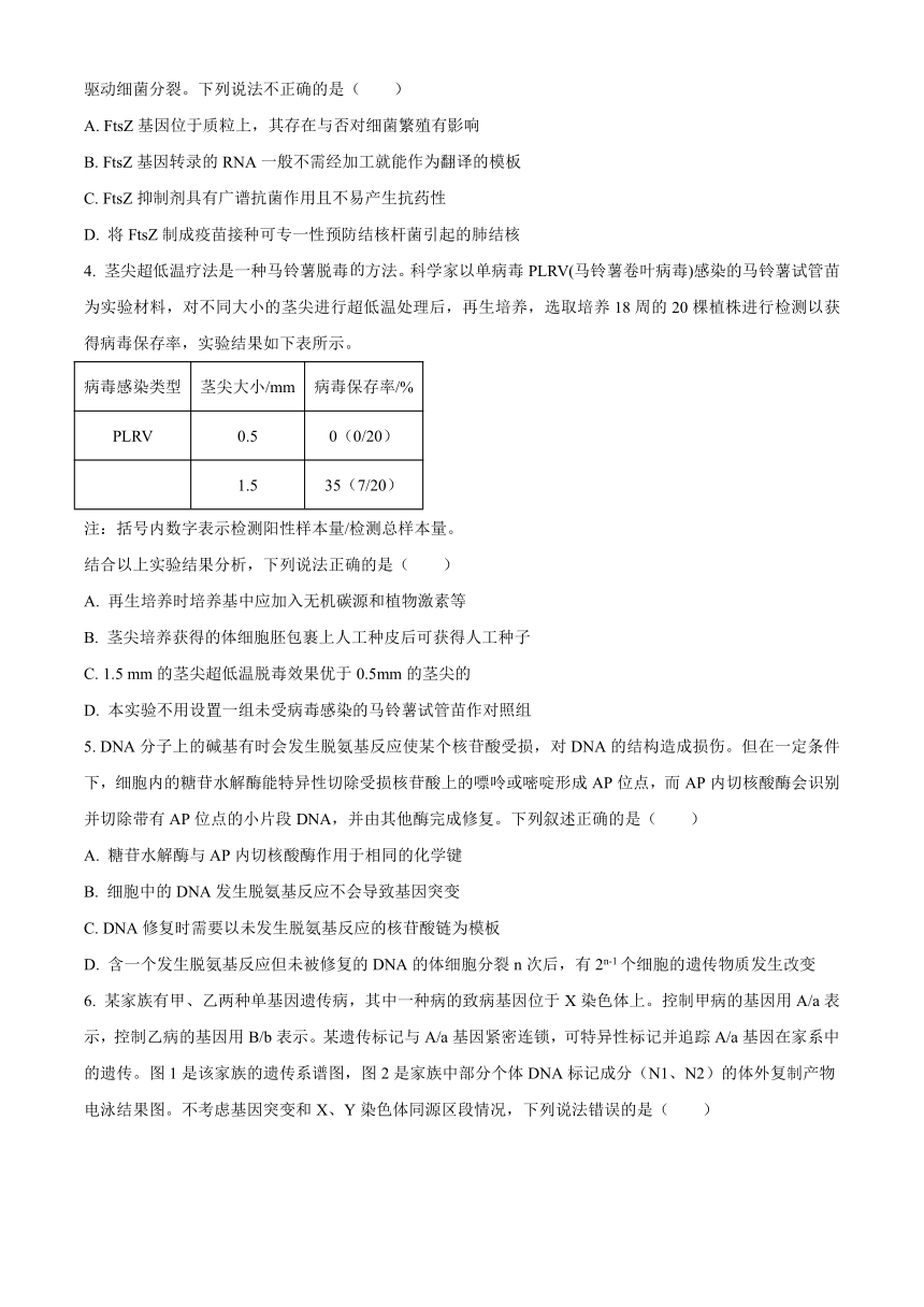 山东省部分学校2023-2024学年高三上学期开学摸底大联考生物学试题（原卷版+解析版）