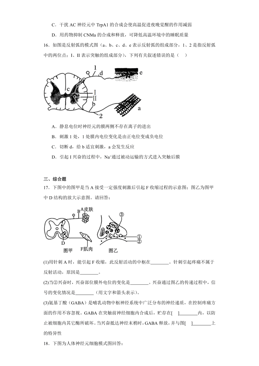 2.3神经冲动的传递 练习（含解析）