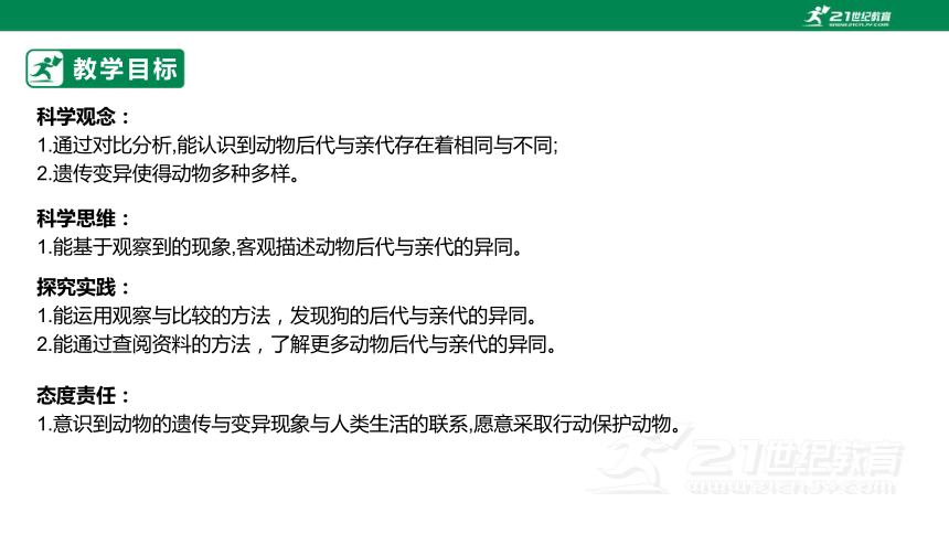 【新课标】2.4 多种多样的动物 课件（25张PPT）