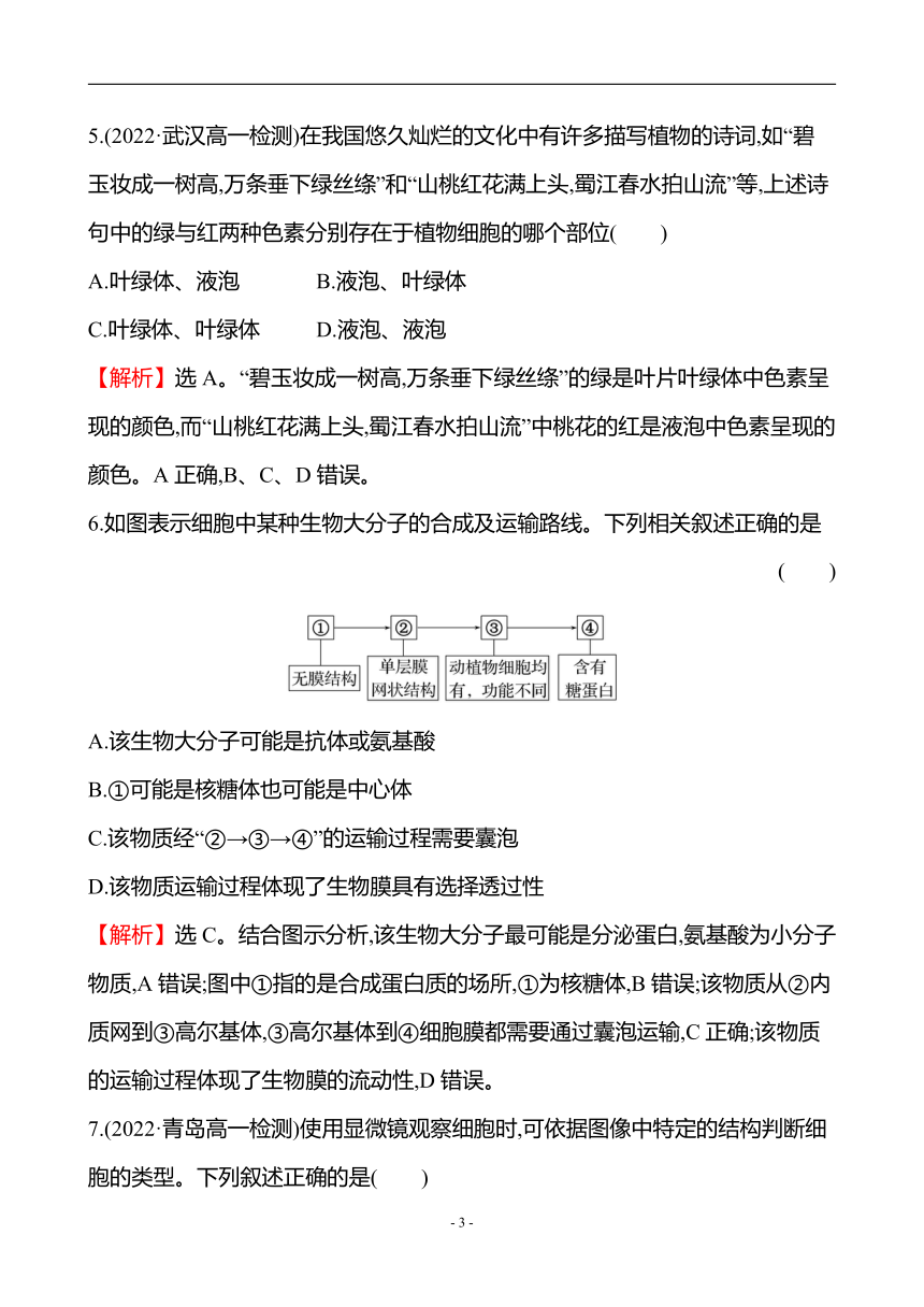 人教生物必修1微专题强化练（2）细胞膜和细胞器（含解析）