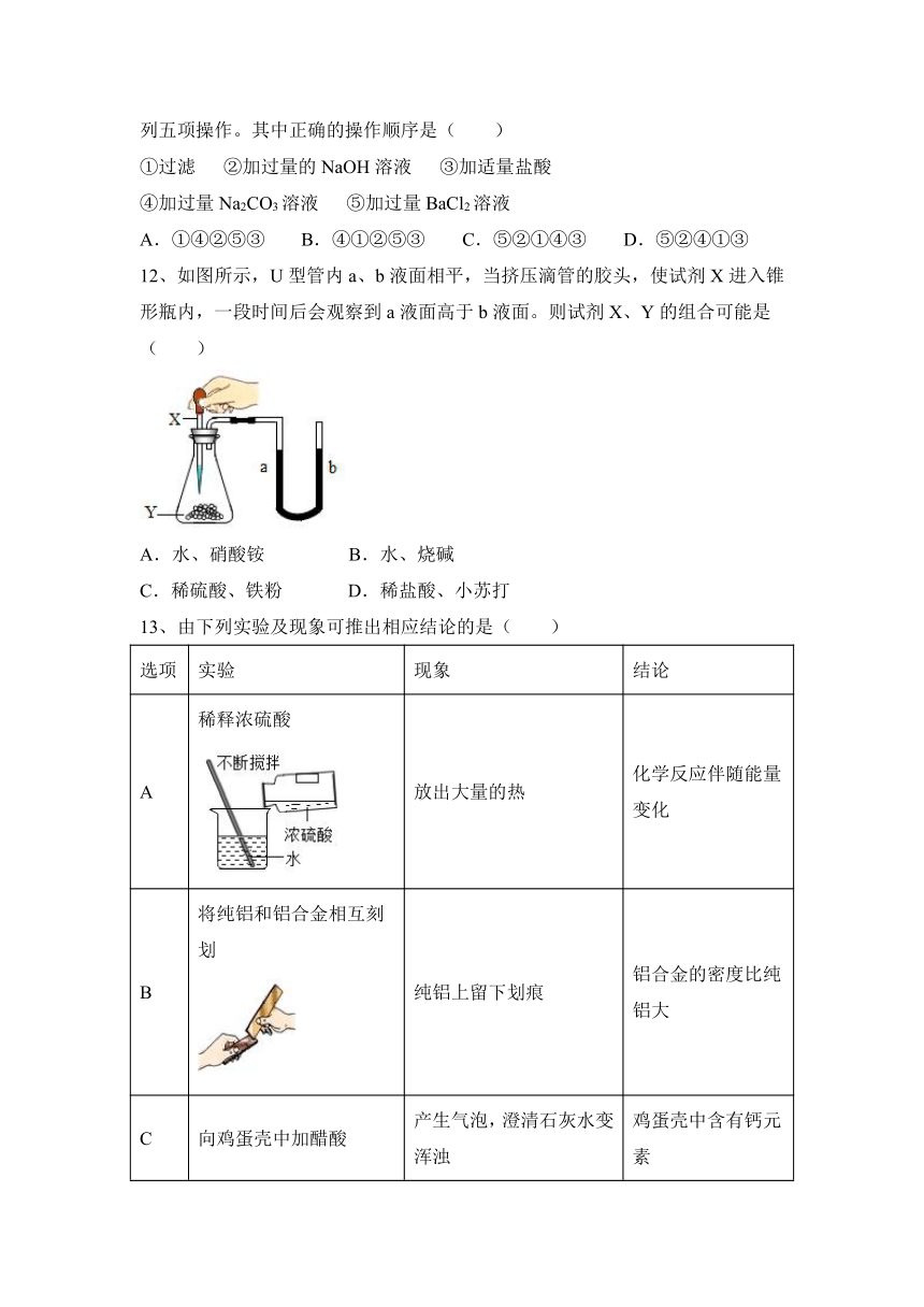 2023—2024学年人教版（五四学制）化学九年级全一册第四单元  盐 化肥  同步选题（含答案）