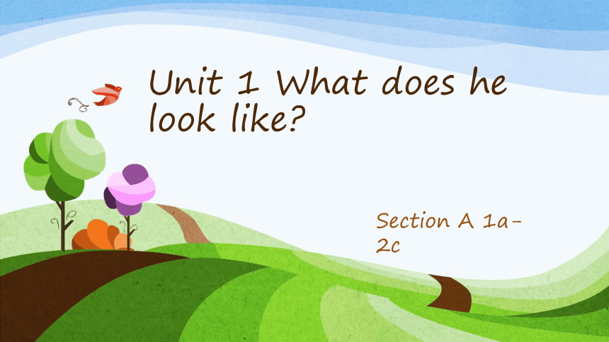Unit 1 What does he look like Section A 1a-2c 课件(共19张PPT)鲁教版(五四学制)七年级英语上册