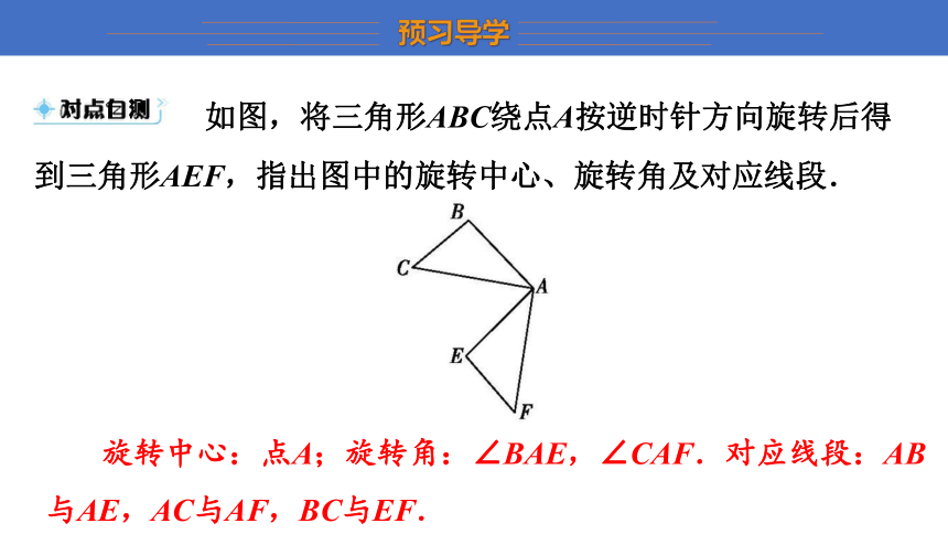 2.8 平面图形的旋转 课件(共25张PPT)冀教版七年级上册数学