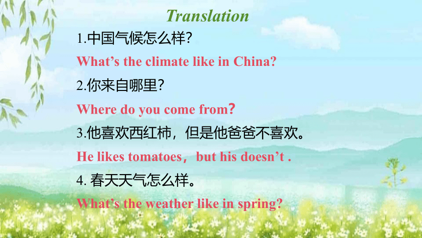 Lesson 52 What nationality are they （课件）(共26张PPT)新概念英语第一册