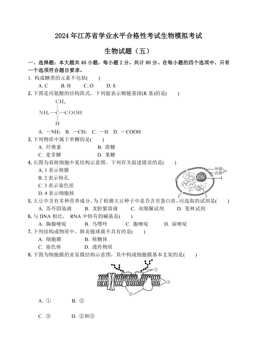 2024年江苏省学业水平合格性考试模拟试卷生物学试题五（含答案）