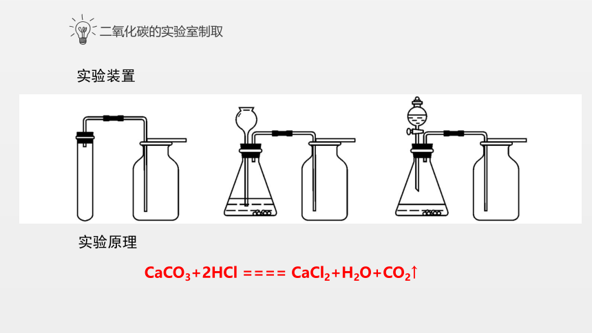 实验活动2 二氧化碳的实验室制取和性质课件(共19张PPT)—2023-2024学年初中化学人教版