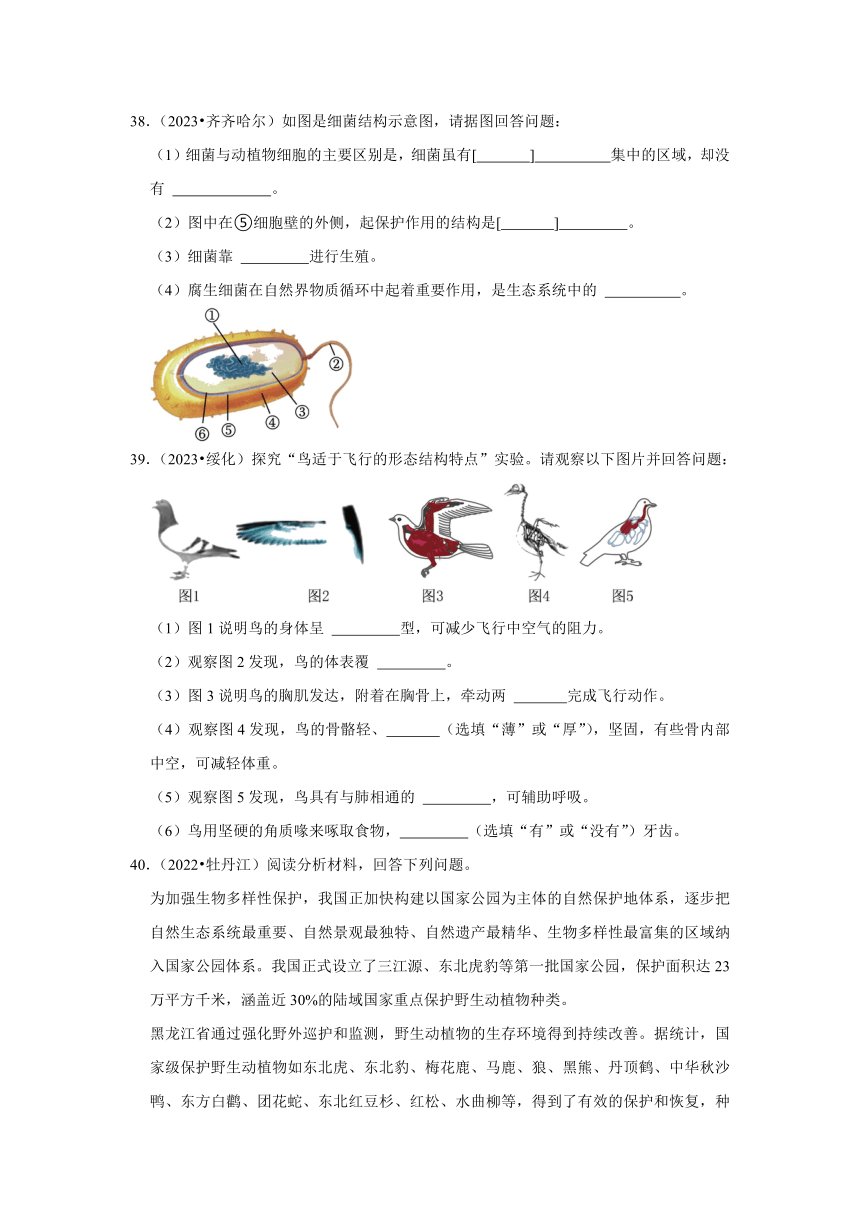 专题6生物多样性——2022-2023年黑龙江省中考生物试题分类（含解析）